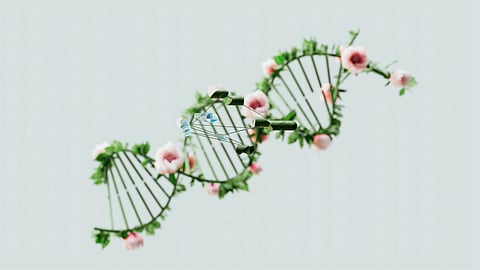 A DNA double helix made of green vines interwoven with pink flowers.