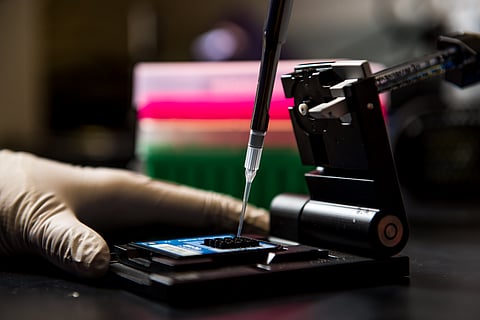 Pacific Northwestern National Laboratory scientist using DNA sequencing techniques to analyze biological material.