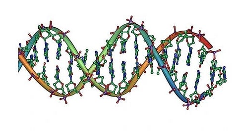 A DNA helix structure.