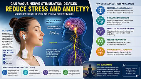 Vagus nerve anatomy and auricular stimulation device demonstrating its role in reducing stress and anxiety.