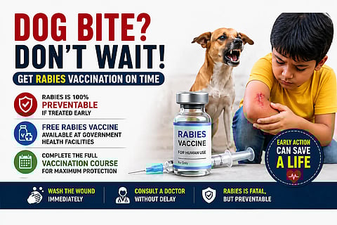 Dog bite first aid and rabies prevention guide showing child with bite wound, aggressive dog, and rabies vaccine with urgent 24-hour action steps