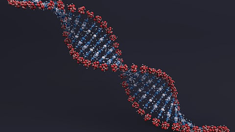 A 3D DNA helix model in red and blue on a dark background.