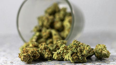 Dried cannabis buds spilling from a glass jar onto a stone surface.