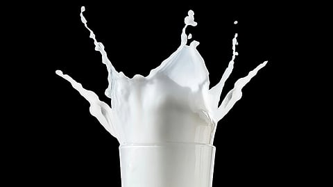 A glass of milk overflows with a dramatic splash against a black background.