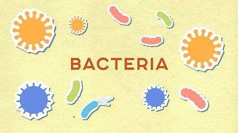 Colorful cartoon bacteria on a yellow background with “bacteria” in the center.