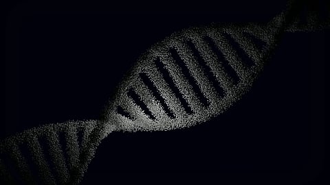DNA in black and white
