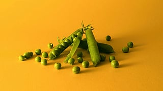Fresh green peas spill from open pods on a vibrant yellow background.