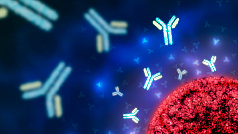 Blue and yellow antibodies moving toward a red virus on a dark blue background.