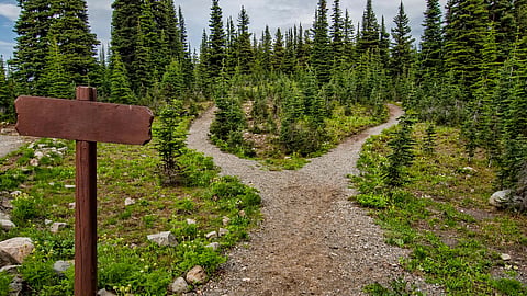 A signpost stands at a forked dirt path surrounded by lush green trees.