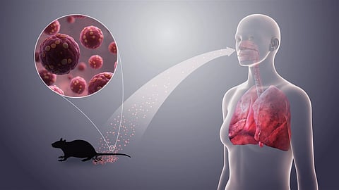 A rat spreading a virus to a person, with virus particles shown in the air.