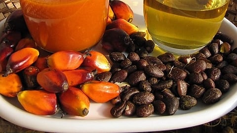 Palm oil and fruit.