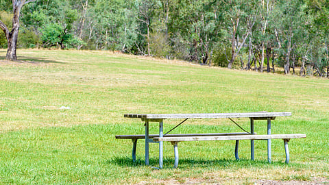 A picnic table stands alone in a green field with trees.