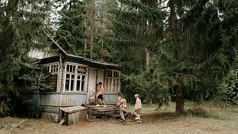 Three children walk toward an old wooden house in a forest of tall pine trees.