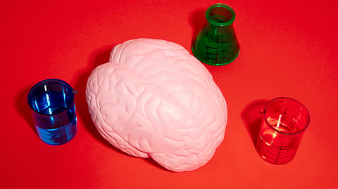 A pink brain model on a vibrant red background is surrounded by green, blue, and red scientific beakers.