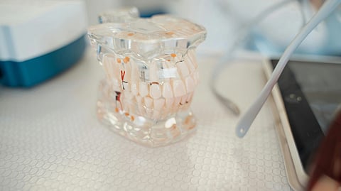 A person examines a tooth model on a tablet computer, focusing on dental anatomy and details.