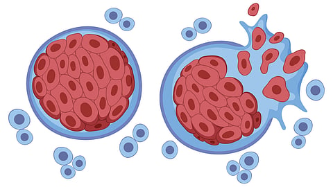 Image of two red blood cells featuring white spots, suggesting the presence of tumor cells.