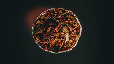 Close-up of the lit end of a cigarette with visible tobacco against a dark, blurred background.