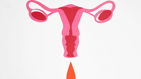 Illustration of a pink uterus with a single drop of blood.