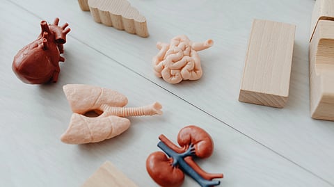 A colorful assortment of toy blocks and various toys arranged on a wooden table.
