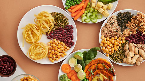 A collection of plates featuring diverse dishes, including salads, meats, and desserts, arranged aesthetically.