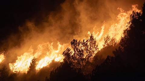 A large wildfire burns through trees at night, sending flames and smoke into the sky.