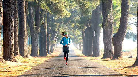 A runner in blue shirt and black leggings runs on a straight road lined with tall pine trees in sunlight.