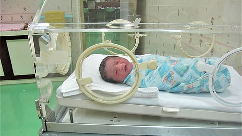 A newborn baby resting in a hospital incubator.