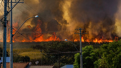 Wildfire burning near homes with thick smoke filling the sky.