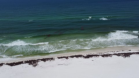 An aerial view of a white-sand beach and blue-green ocean.