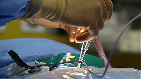 A surgeon's gloved hands perform a surgical procedure.