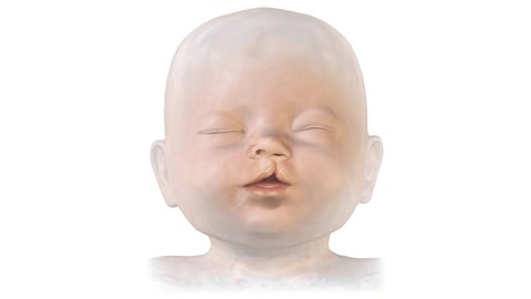 A simple illustration of a baby's head with soft features and fine hair.