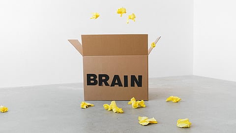 A cardboard box labeled "BRAIN" with crumpled yellow papers around and above it.