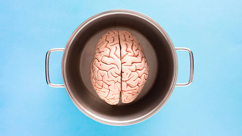 A brain model placed inside a metal pot on a blue background.