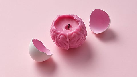 A brain-shaped candle sits inside a cracked eggshell.