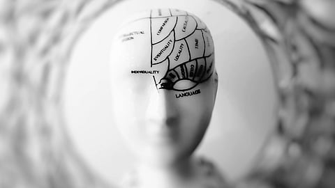 A phrenology bust shows labeled areas of the human brain.