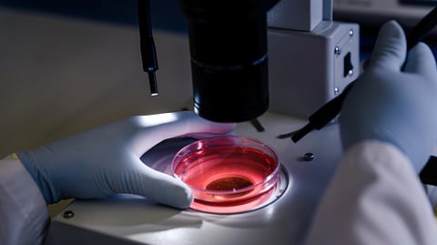 A researcher holds a petri dish with red liquid.