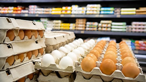 eggs in a carton 