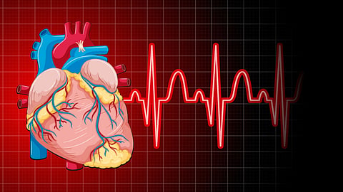 An illustration of a human heart beside a glowing ECG heartbeat line.