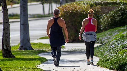 Two people walking together on a tree-lined path.