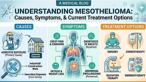 An infographic titled "Understanding Mesothelioma" with three vertical sections explaining its causes, symptoms, and treatment options.