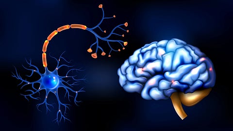 Glowing neuron beside a luminous human brain.