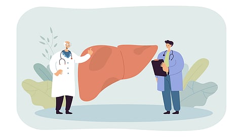 Two medical professionals stand beside a large liver diagram.