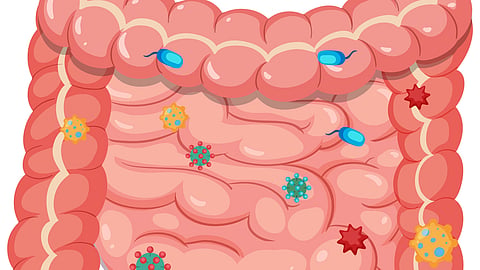 A cartoon illustration of the digestive tract highlighting the gut microbiome.