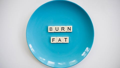 A blue plate on a white background with letter tiles spelling out "BURN FAT" in the center.