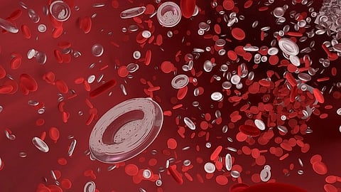 Red blood cells as biocompatible therapeutic nanocarriers