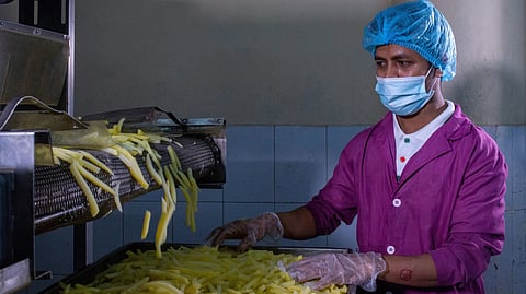 Food processing factory unit manufacturing french fries