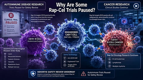 Split-screen showing CAR-T therapy in paused autoimmune and ongoing cancer research.