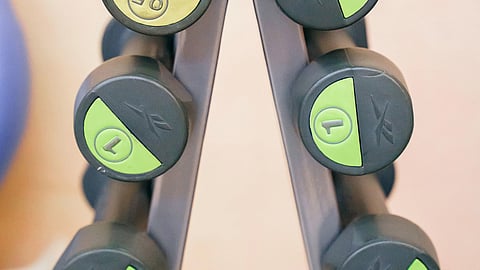 Dumbbells on a rack