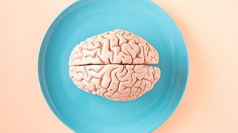 Brain in a blue plate 