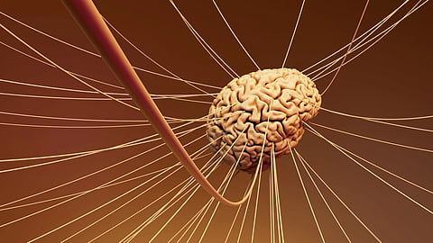 Brain signaling hypothetical model